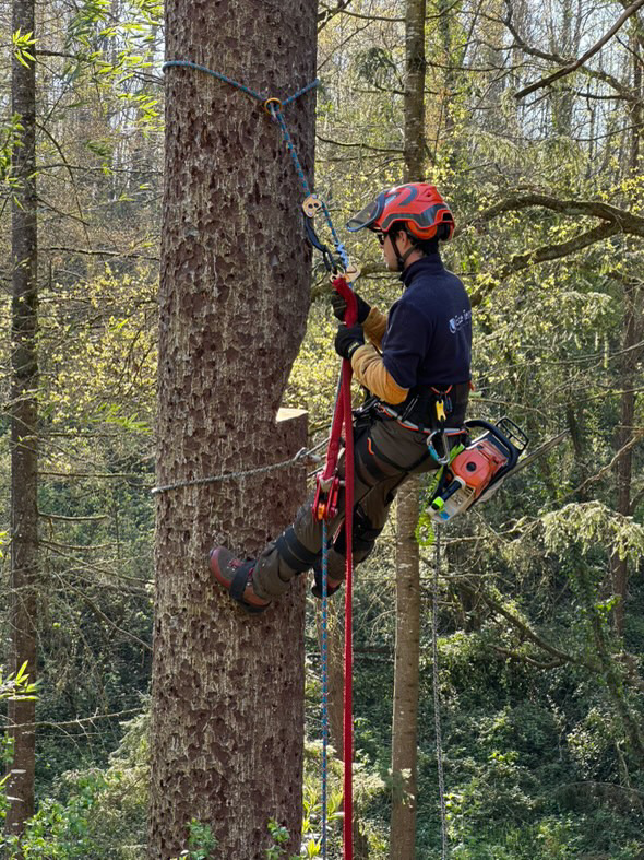 87_66620109-BAA0-4F92-8391-091BF2228B64_450 87_66620109-BAA0-4F92-8391-091BF2228B64_450